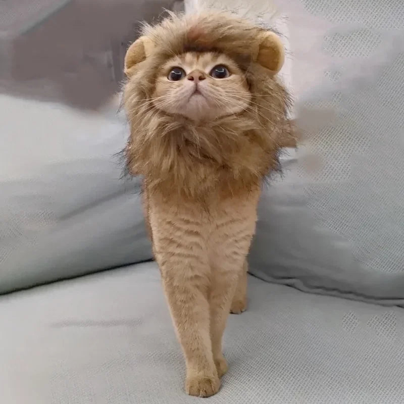 Cat Costume Lion Mane