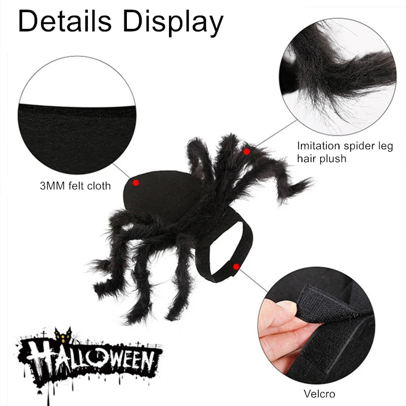 Spider Halloween Costume For Cats