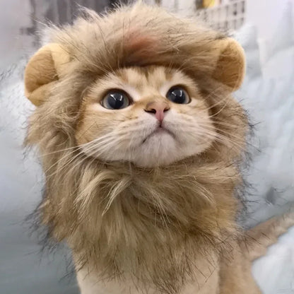 Cat Costume Lion Mane