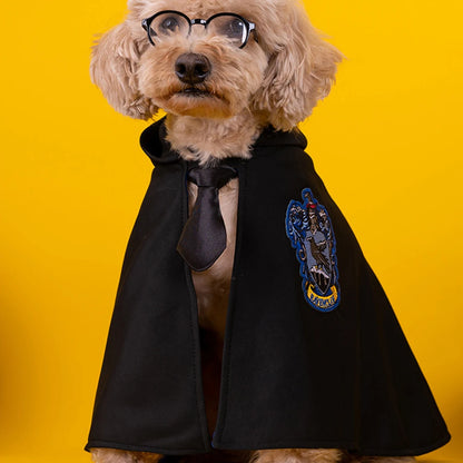 Harry Potter Halloween Costume For Cats