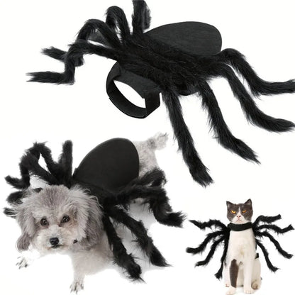 Spider Halloween Costume For Cats