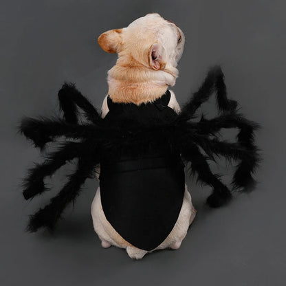 Spider Halloween Costume For Cats