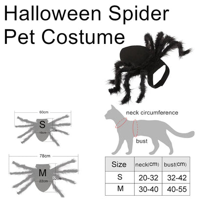 Spider Halloween Costume For Cats