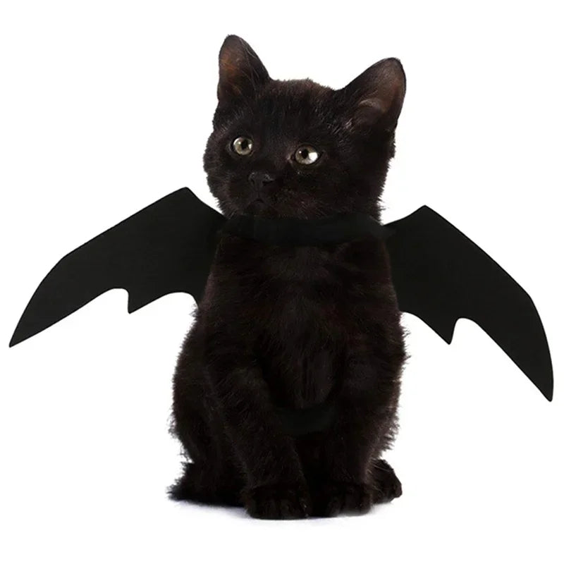 Bat Wings Halloween Costume For Cats