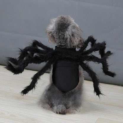 Spider Halloween Costume For Cats