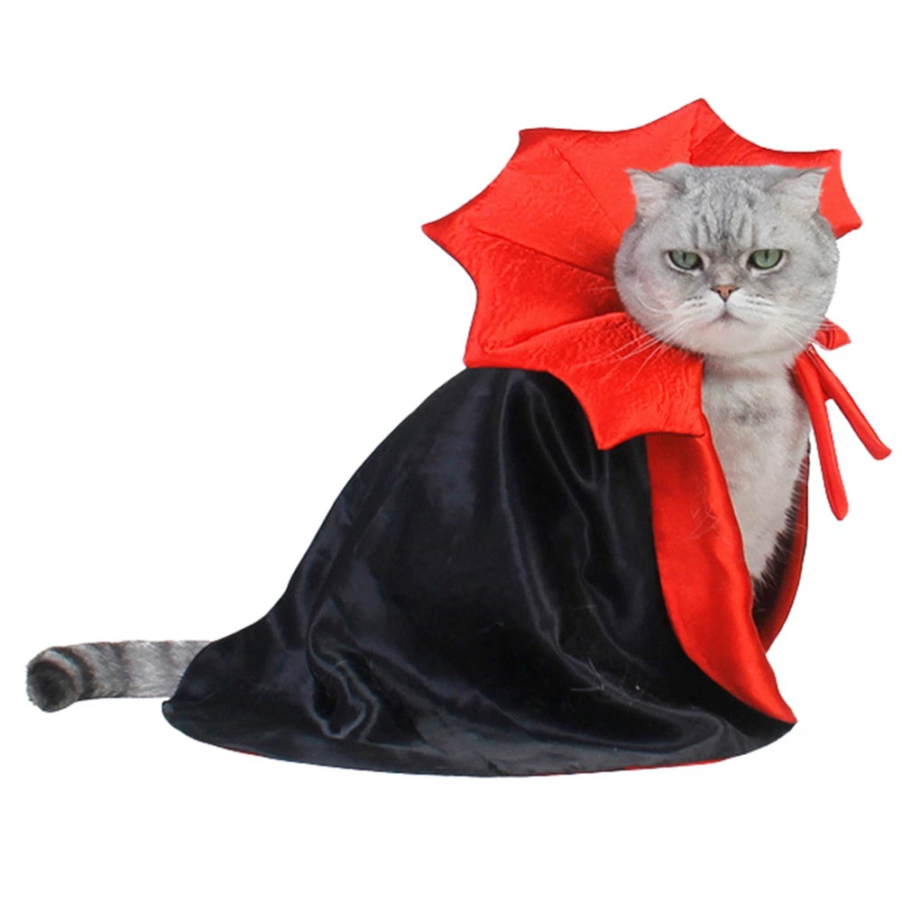 Dracula Halloween Costume For Cats