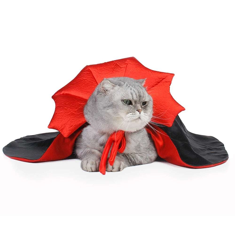 Dracula Halloween Costume For Cats