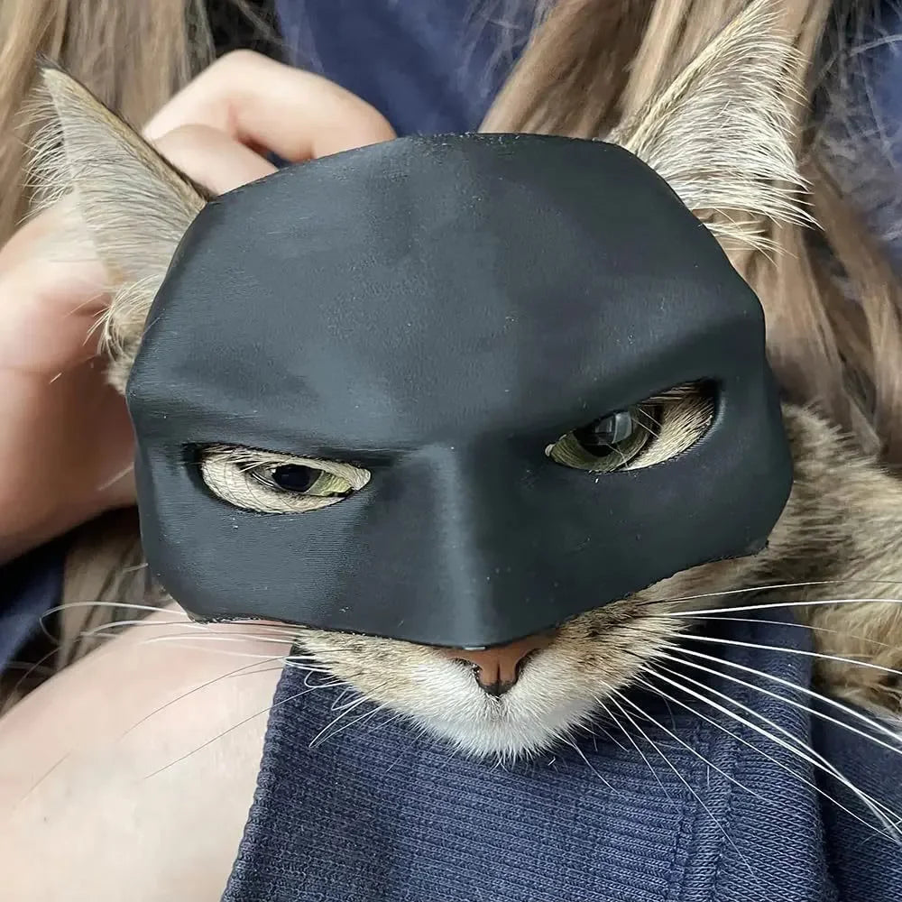 Bat Cat Halloween Mask