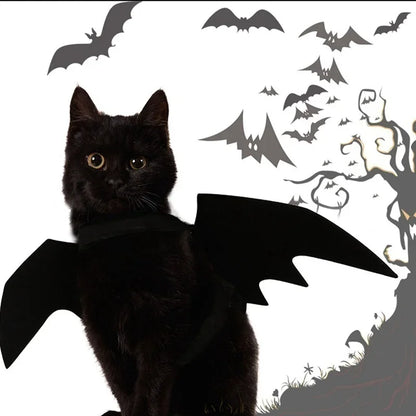 Bat Wings Halloween Costume For Cats