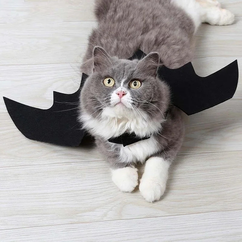 Bat Wings Halloween Costume For Cats