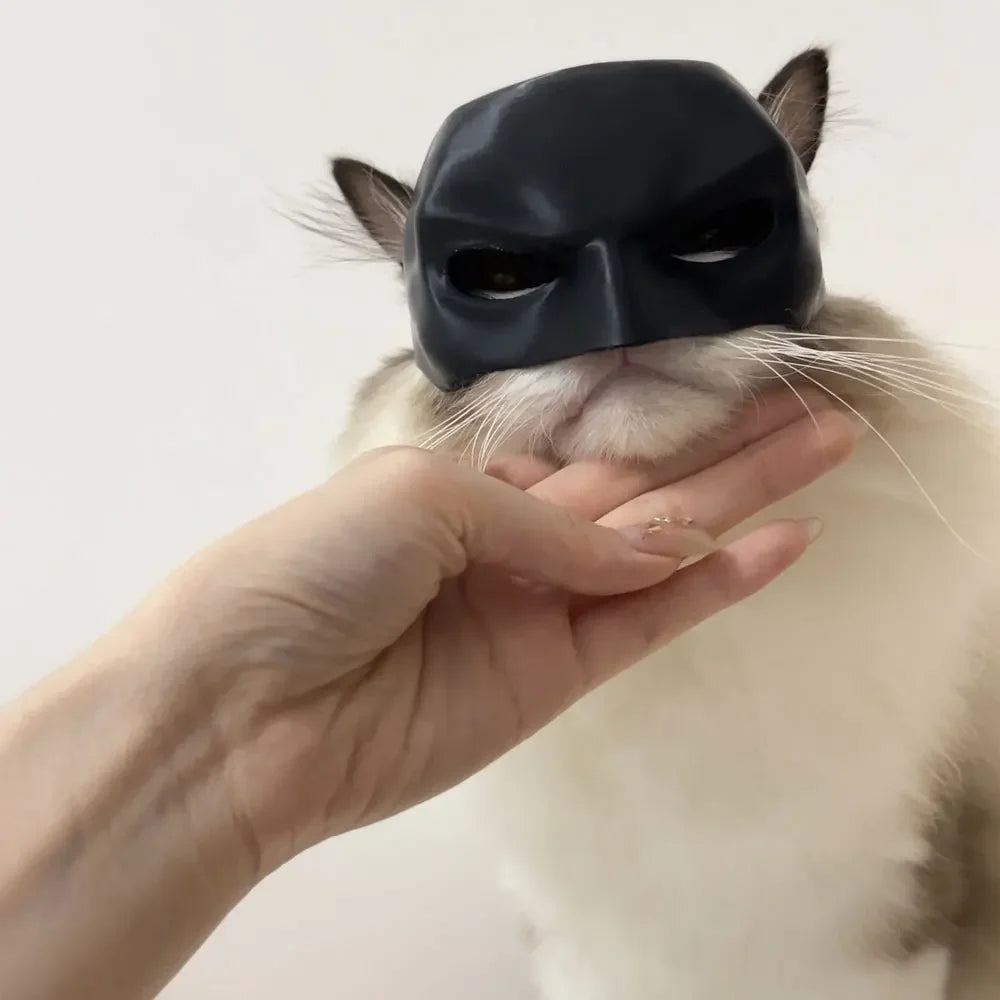 Bat Cat Halloween Mask