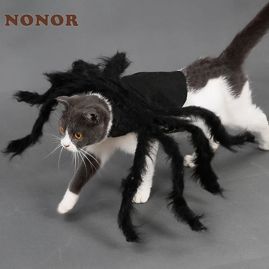 Spider Halloween Costume For Cats