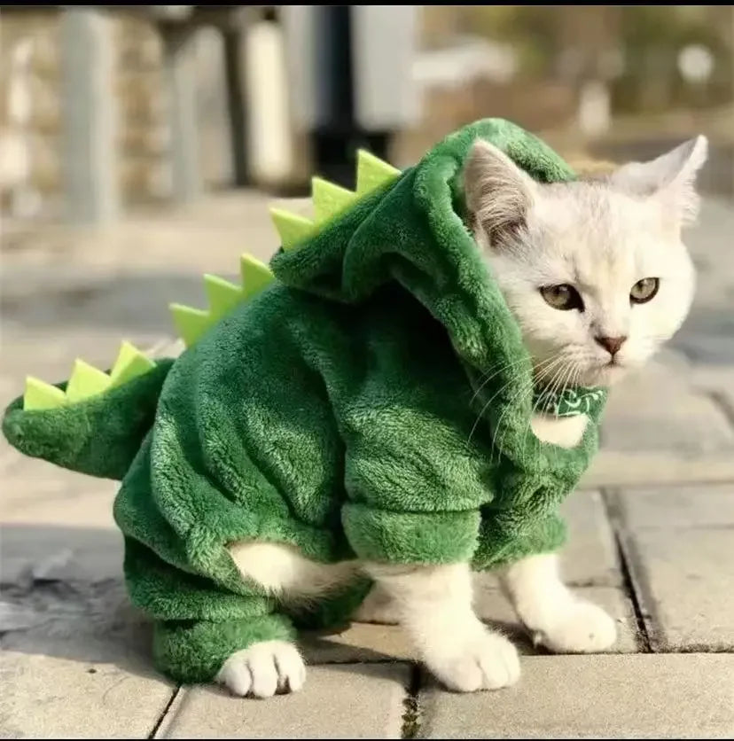 Dinosaur Halloween Costume For Cats