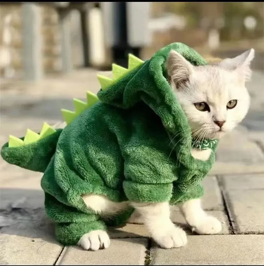 Dinosaur Halloween Costume For Cats