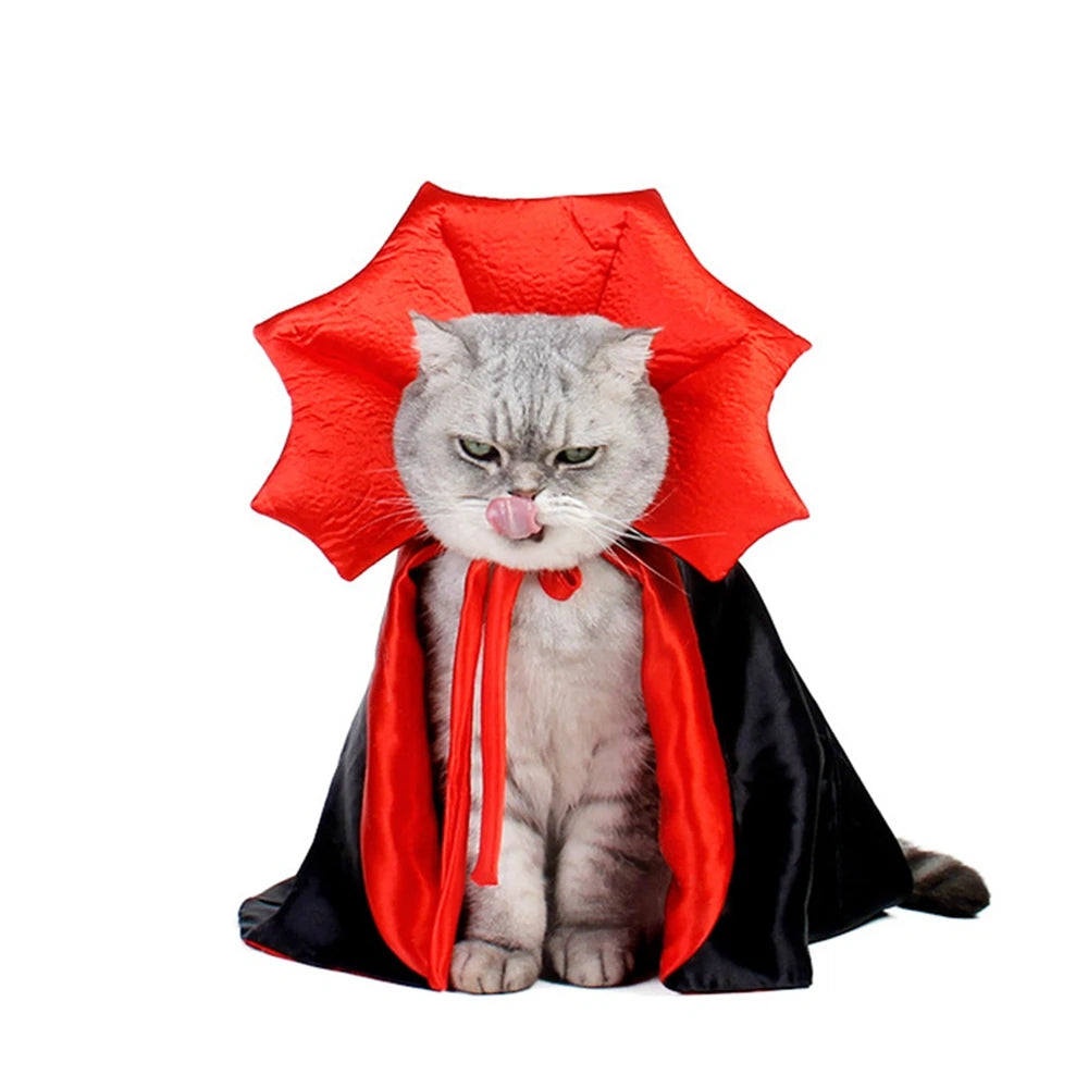 Dracula Halloween Costume For Cats