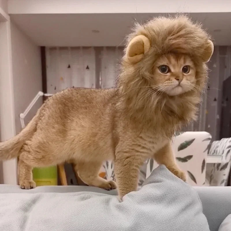 Cat Costume Lion Mane